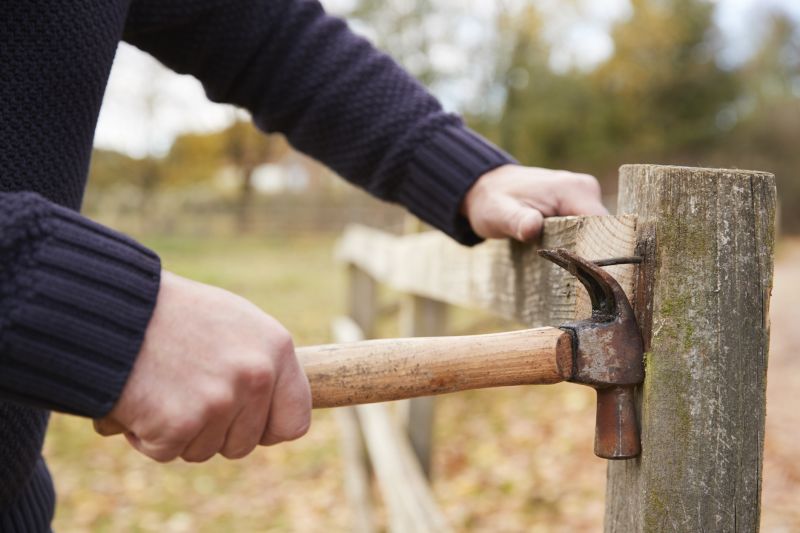 Top Rated Products for Wood Fence Removal