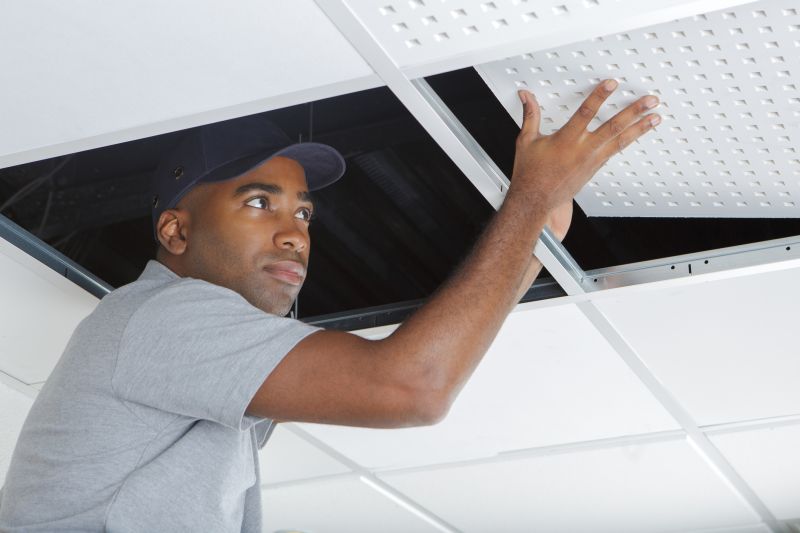 Ceiling Removal Service in Santa Rosa, CA