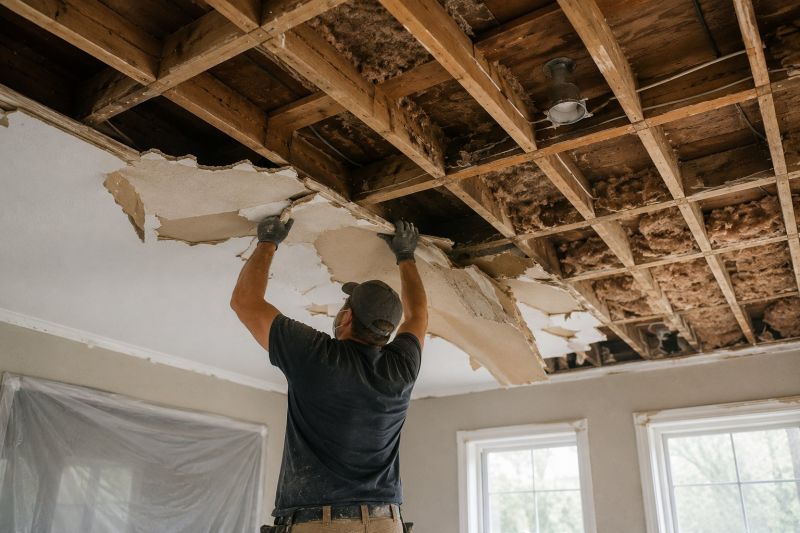 Ceiling Removal Service in Katy, TX
