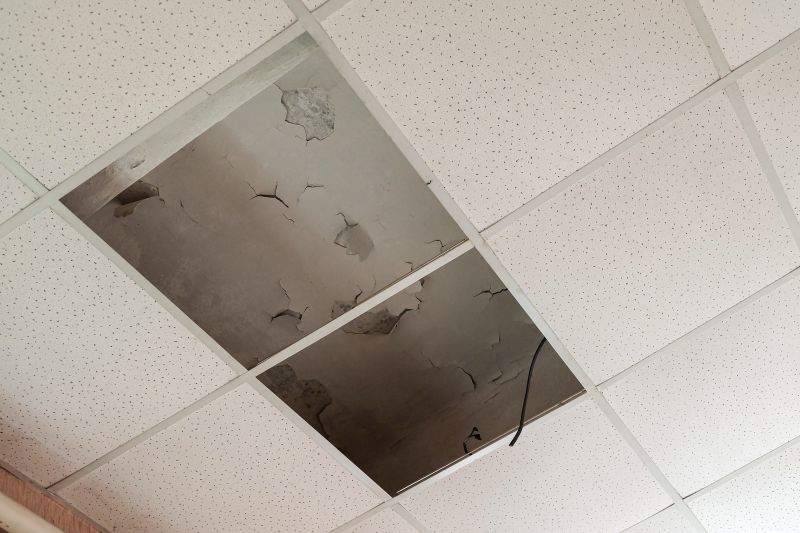 Ceiling Removal Service in Denver County, CO