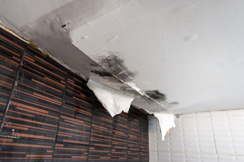 Water Damage Ceiling Repair in Alpharetta, GA