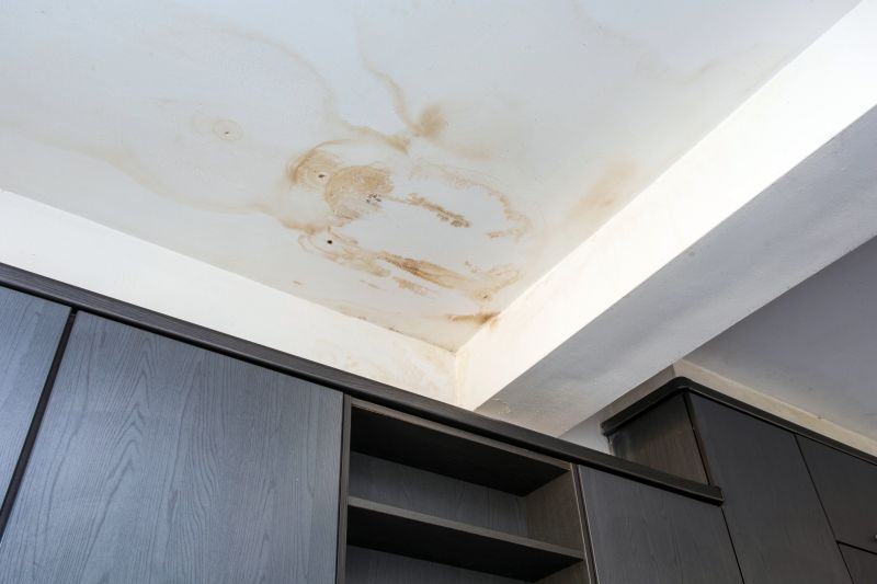 Water Damage Ceiling Repair in Houston, TX
