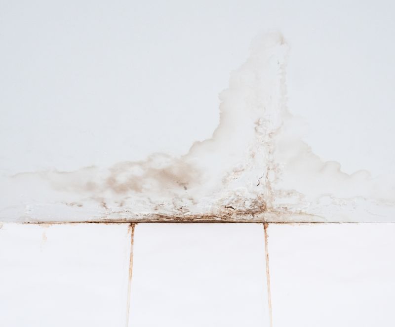 Water Damage Ceiling Repair in Denver, CO