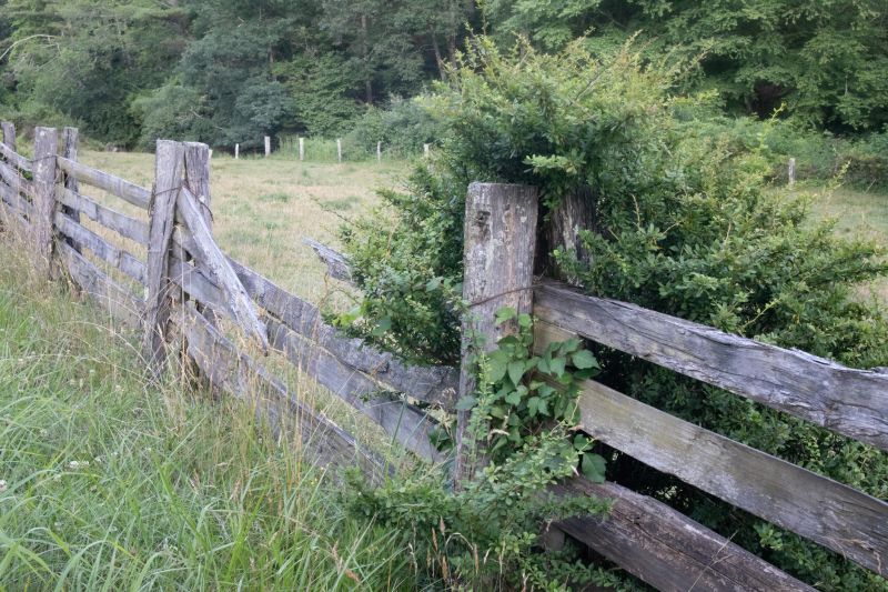 Wood Fence Removal Costs — Cost of Wood Fence Removal