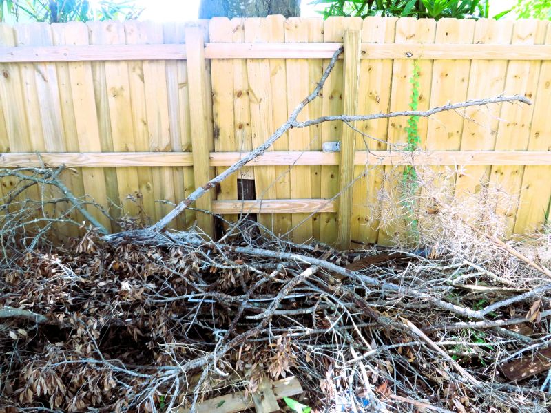 Wood Fence Removal
