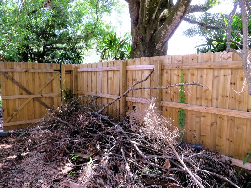 Wood Fence Removal